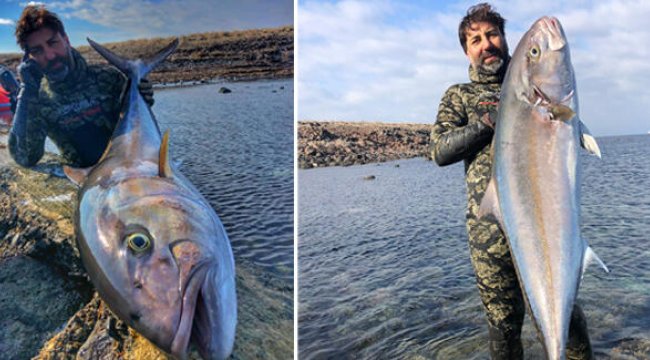 Rekortmen dalgıç avladı! ‘Bu balığın burada olması çok ilginç’