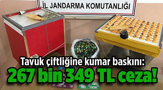 Tavuk çiftliğine kumar baskını: 267 bin 349 TL ceza!