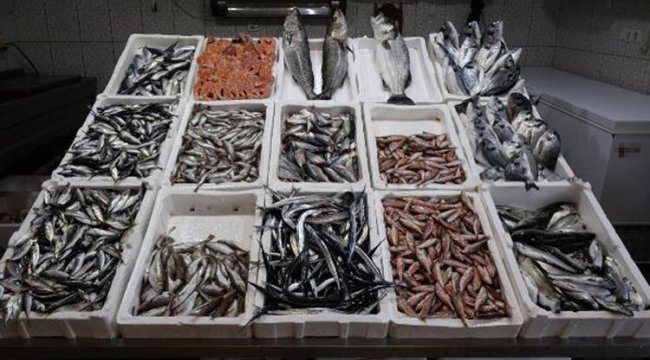 Trabzon’da avı yasaklanan hamsiden sonra en gözde istavrit ve mezgit oldu