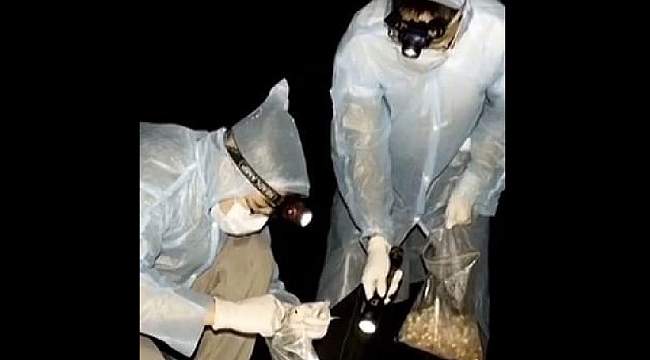 Vuhan Laboratuvarı’nda bilim insanlarından yarasa itirafı