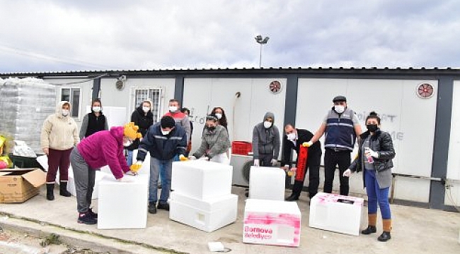 Bornova Belediyesi'nden patili dostlar için ısı yalıtımlı yuva!