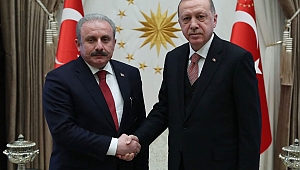 Cumhurbaşkanı Erdoğan ve Mustafa Şentop'tan HDP'lilerin fezlekesine ilk yorum