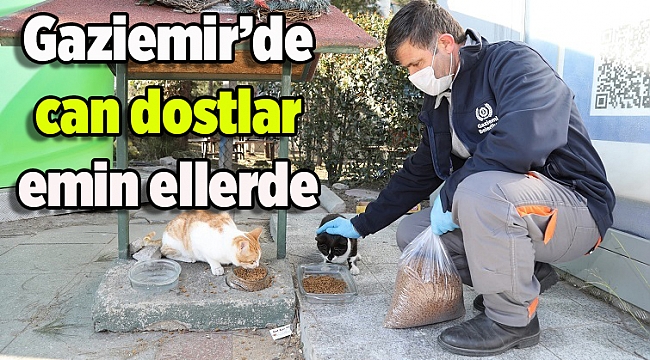 Gaziemir’de can dostlar emin ellerde