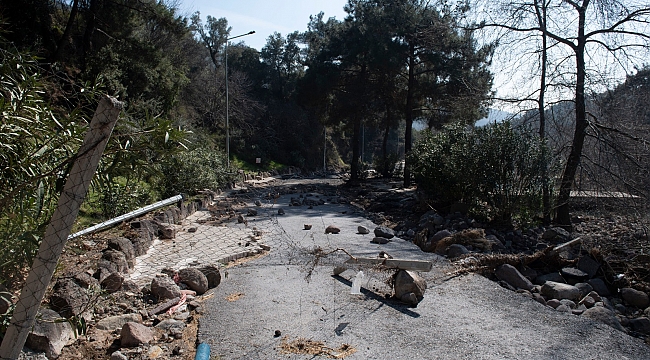 Homeros Vadisi yeniden ayağa kaldırılıyor