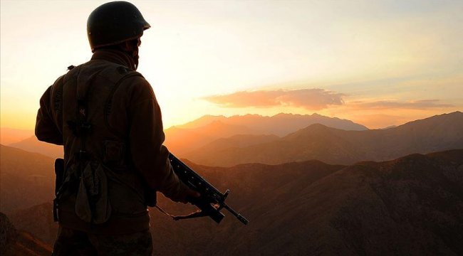 İçişleri Bakanlığı: 1 PKK'lı terörist teslim oldu