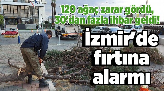 İzmir'de fırtına alarmı: 120 ağaç zarar gördü, 30'dan fazla ihbar geldi!