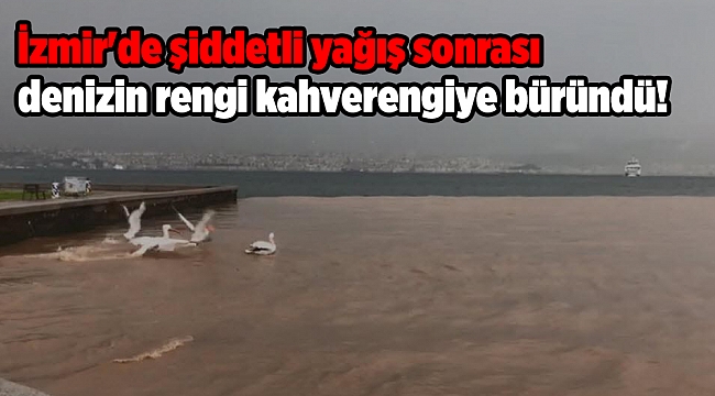 İzmir'de şiddetli yağış sonrası denizin rengi kahverengiye büründü!