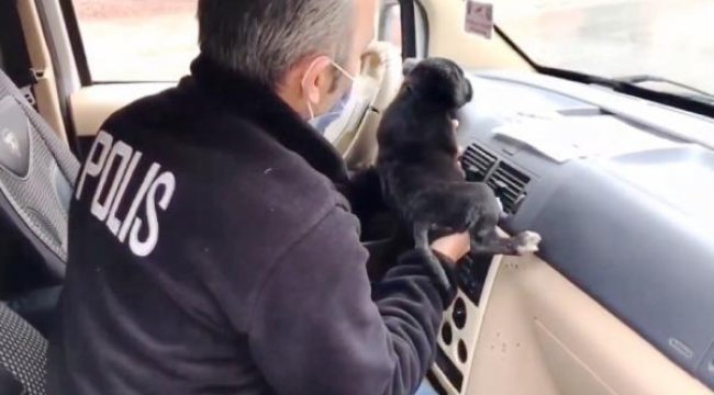 Polisler, üşüyen yavru köpeği ekip aracında ısıttı