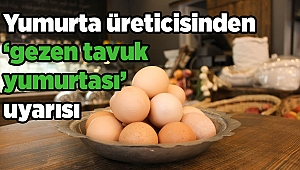 Yumurta üreticisinden ‘gezen tavuk yumurtası’ uyarısı