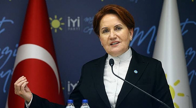 Akşener, İstanbul Sözleşmesi için Danıştay&#039;a başvurdu!