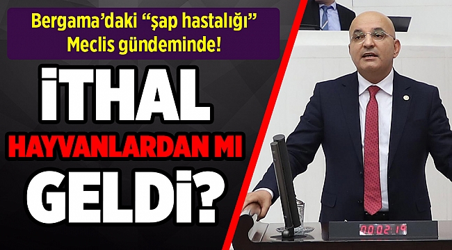 Bergama’daki “şap hastalığı” Meclis gündeminde!