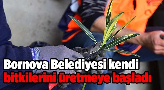 Bornova Belediyesi kendi bitkilerini üretmeye başladı