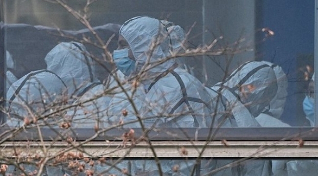 DSÖ raporu: Virüsün kaynağı başka hayvanlar