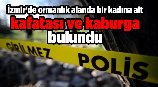 İzmir'de ormanlık alanda bir kadına ait kafatası ve kaburga bulundu