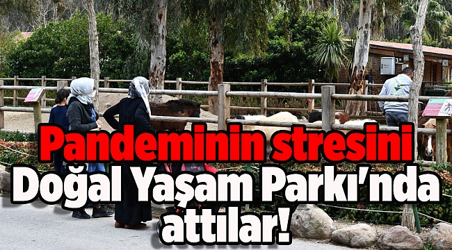 Pandeminin stresini Doğal Yaşam Parkı'nda attılar