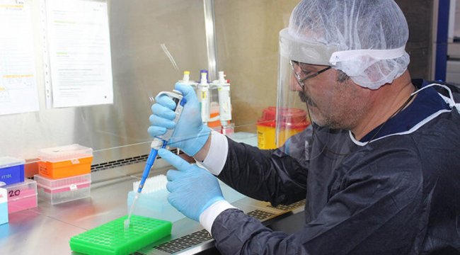 Prof. Dr. Çelebi'den 'yerli aşı' açıklaması! 'İnsan üzerinde faz çalışmasına geçilecek. Birkaç ay sonunda...'