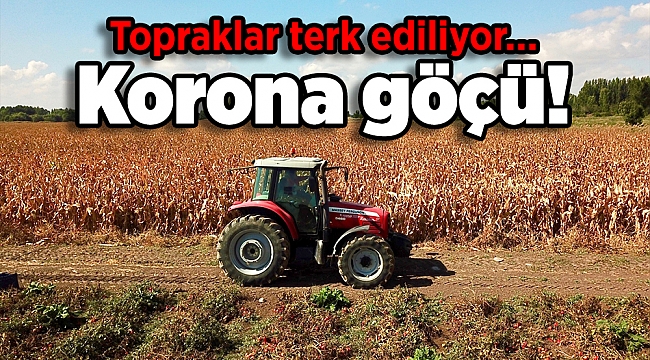 Topraklar terk ediliyor… Korona göçü!