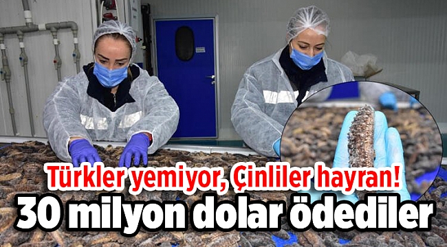 Türkler yemiyor, Çinliler hayran! 30 milyon dolar ödediler