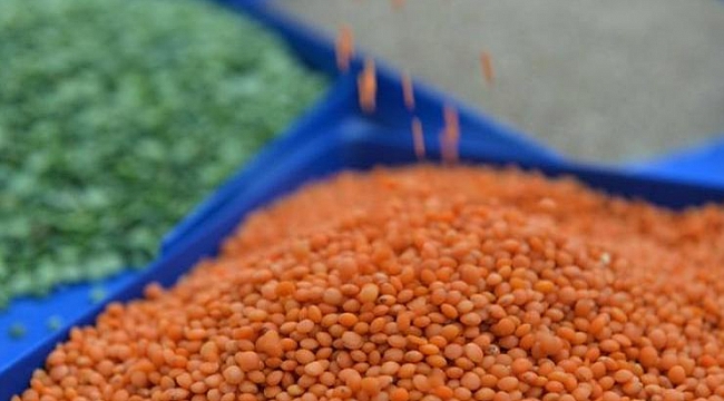 Yoksulu yağ, yumurta, mercimek vurdu