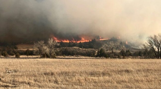 ABD’nin Kuzey Dakota eyaletinde orman yangını: gökyüzü dumanla kaplandı