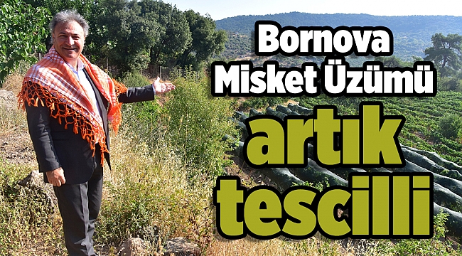 Bornova Misket Üzümü artık tescilli