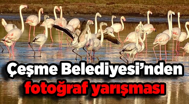Çeşme Belediyesi’nden fotoğraf yarışması