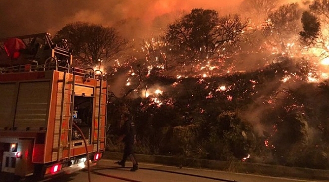 Dağlık alanda çıkan yangın korkuttu