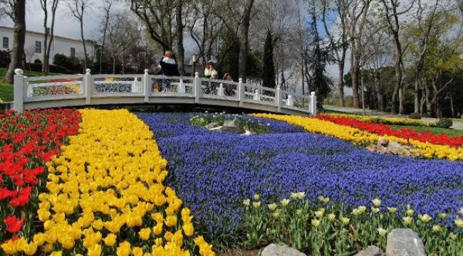 İstanbul'un parklarında görsel şölen! 8 milyon lale