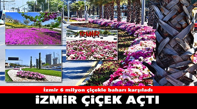 İzmir çiçek açtı
