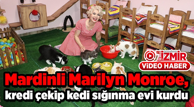 Mardinli Marilyn Monroe, kredi çekip kedi sığınma evi kurdu