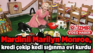 Mardinli Marilyn Monroe, kredi çekip kedi sığınma evi kurdu
