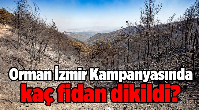 Orman İzmir Kampanyasında kaç fidan dikildi?