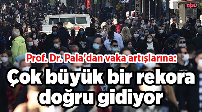 Prof. Dr. Pala'dan vaka artışlarına: Çok büyük bir rekora doğru gidiyor