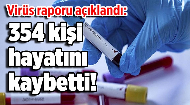 Virüs raporu açıklandı: 354 kişi hayatını kaybetti!