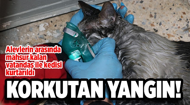 Yangında mahsur kalan vatandaş ile kedisi kurtarıldı