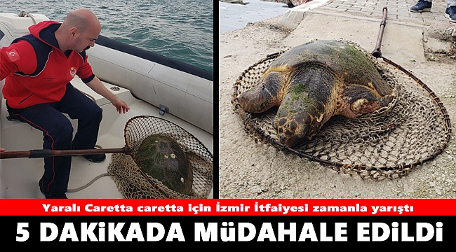 Yaralı Caretta caretta için İzmir İtfaiyesi zamanla yarıştı