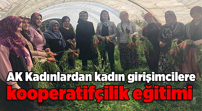 AK Parti İzmir İl Kadın Kolları Başkanlığı’ndan kadın girişimcilere kooperatifçilik eğitimi 