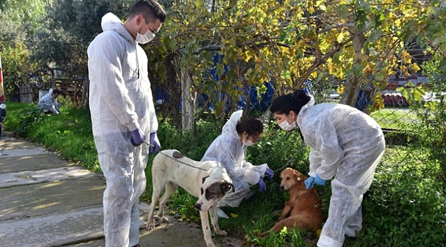 Bornova'da can dostlar yalnız değil