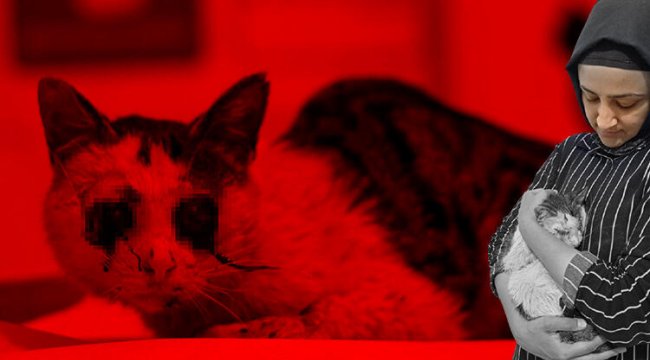 Bunun adı canilik! Görür görmez yardımına koştu