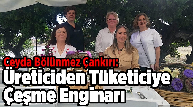 Ceyda Bölünmez Çankırı: Üreticiden Tüketiciye Çeşme Enginarı