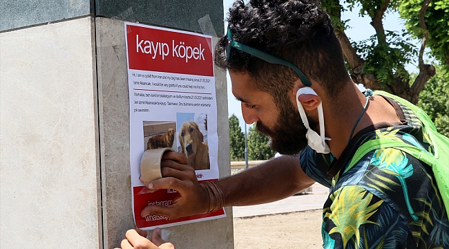 İranlı gezgin İzmir'de kaybettiği en yakın dostunu arıyor