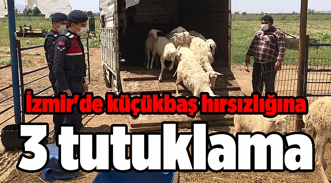 İzmir'de küçükbaş hırsızlığına 3 tutuklama