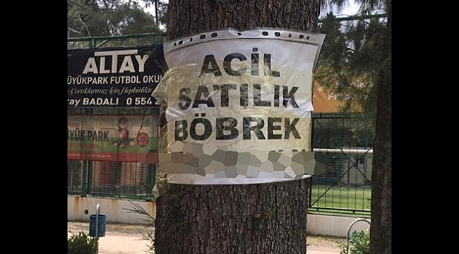 İzmir'de satılık böbrek ilanı