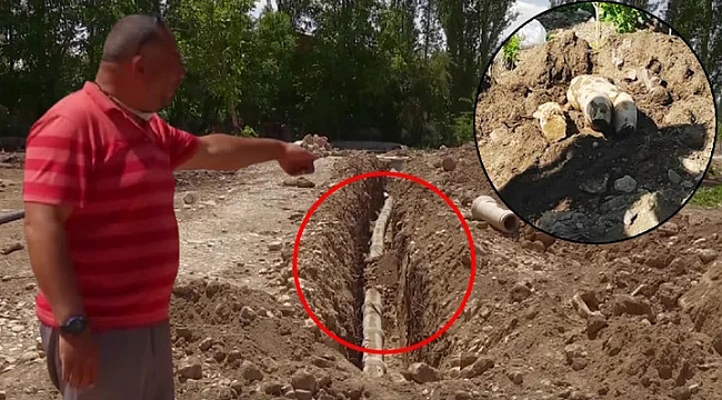 Kanalizasyon kazısında ortaya çıktı! Afyonkarahisar'da ekipler harekete geçti: Gören şaştı kaldı