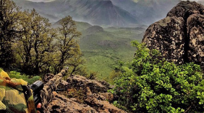 MSB duyurdu! Etkisiz hale getirilen terörist sayısı 111 oldu