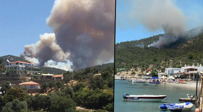 Muğla'nın Milas ilçesinde orman yangını!