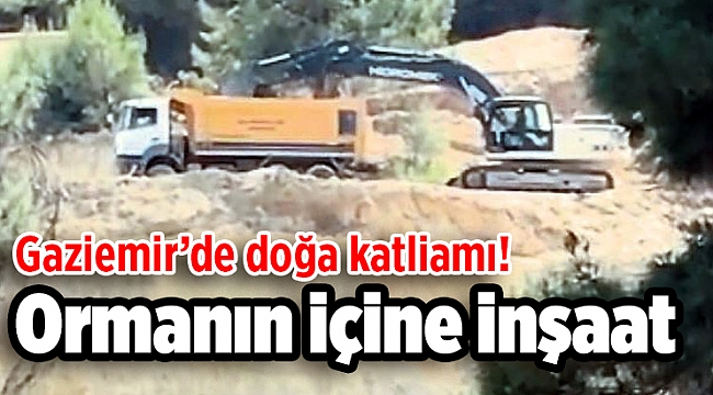 Ormanın içine inşaat