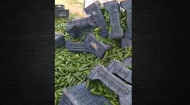 Pazarlar kapandı mahsül yerlerde