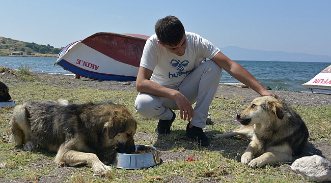 Aliağa Belediyesi Sevimli Dostlar İçin Görev Başında