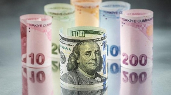 Avro ve dolarda son durum